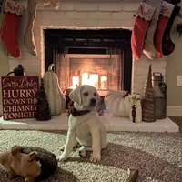 processed/1ed48571-6ea4-4983-9708-716483f132fd/facility/aa520b00-5896-4b1d-a3a8-1515470f949f