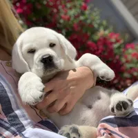 processed/1ed48571-6ea4-4983-9708-716483f132fd/facility/b1e6ba51-b336-40df-8b10-436f0597a4e1