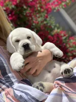 processed/1ed48571-6ea4-4983-9708-716483f132fd/facility/b1e6ba51-b336-40df-8b10-436f0597a4e1