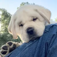 processed/1ed48571-6ea4-4983-9708-716483f132fd/facility/db5dc563-42f9-4ace-9c3b-64b718532d4b