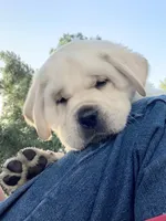 processed/1ed48571-6ea4-4983-9708-716483f132fd/facility/db5dc563-42f9-4ace-9c3b-64b718532d4b