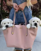 Daisy, a female Labrador Retriever for sale in Los Angeles, CA – Photo 3 of 10