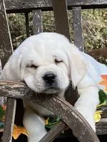 processed/1ed48571-6ea4-4983-9708-716483f132fd/listing/86af912d-c788-4d04-b87a-063e7b0d1aa7/144e645d-68dc-4472-ae41-268244761819