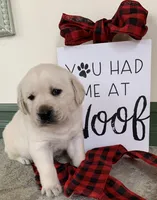 processed/1ed48571-6ea4-4983-9708-716483f132fd/listing/86af912d-c788-4d04-b87a-063e7b0d1aa7/d12d2767-1247-4e55-9fb9-79e49383909c