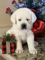 processed/1ed48571-6ea4-4983-9708-716483f132fd/listing/86af912d-c788-4d04-b87a-063e7b0d1aa7/d4f71824-af3e-4cad-ad31-fcb0a6aa94c4