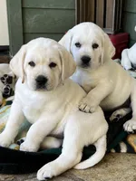 processed/1ed48571-6ea4-4983-9708-716483f132fd/listing/86af912d-c788-4d04-b87a-063e7b0d1aa7/f3a435ca-e350-4a91-b2cf-bf5b661c20db