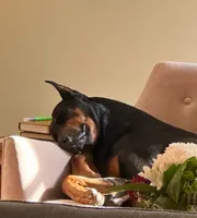 processed/1edb214c-a44e-4fd5-aaeb-c94c9e4d319b/listing/6f39c745-b8df-4724-9946-12f09d3a8e6b/5c726e2c-dfe7-4d93-b267-f766b42797de