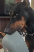 processed/1edb214c-a44e-4fd5-aaeb-c94c9e4d319b/listing/6f39c745-b8df-4724-9946-12f09d3a8e6b/7a7be01c-519b-4db5-a6a6-26888635bcb5