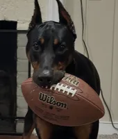 processed/1edb214c-a44e-4fd5-aaeb-c94c9e4d319b/listing/6f39c745-b8df-4724-9946-12f09d3a8e6b/858a4541-c3a8-444b-a922-75a67fbffc18