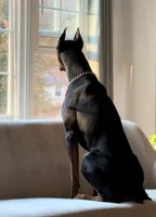 processed/1edb214c-a44e-4fd5-aaeb-c94c9e4d319b/listing/6f39c745-b8df-4724-9946-12f09d3a8e6b/ed31d54b-cfb3-45bb-9534-0dc0555587ca