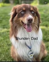 processed/1ee0f807-5d45-4fd5-88f3-1961974659c4/listing/e2299f27-d257-4b93-8a41-2cc331c89c9d/0de028b0-a640-4d90-9b52-af45c38c5f90