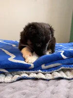 processed/1ee0f807-5d45-4fd5-88f3-1961974659c4/listing/e2299f27-d257-4b93-8a41-2cc331c89c9d/3b35e5f7-2ffc-4637-a055-5fdb3a950a1a