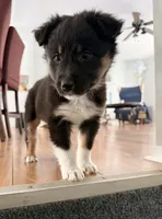 processed/1ee0f807-5d45-4fd5-88f3-1961974659c4/listing/e2299f27-d257-4b93-8a41-2cc331c89c9d/5313b272-30a0-48df-8a99-bca667cecffc