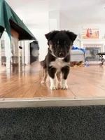 processed/1ee0f807-5d45-4fd5-88f3-1961974659c4/listing/e2299f27-d257-4b93-8a41-2cc331c89c9d/602078da-b36d-483e-9b73-481470b48c15