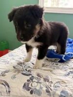 processed/1ee0f807-5d45-4fd5-88f3-1961974659c4/listing/e2299f27-d257-4b93-8a41-2cc331c89c9d/9a8a8284-868e-46a4-b493-fceb205fc0ab