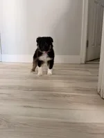 processed/1ee0f807-5d45-4fd5-88f3-1961974659c4/listing/e2299f27-d257-4b93-8a41-2cc331c89c9d/9e56dc7b-a5f9-4d25-88d3-4d8c1b5ff83d