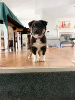 processed/1ee0f807-5d45-4fd5-88f3-1961974659c4/listing/e2299f27-d257-4b93-8a41-2cc331c89c9d/a2feb685-a368-477b-81c2-952e79c60cb1