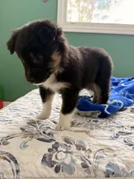 processed/1ee0f807-5d45-4fd5-88f3-1961974659c4/listing/e2299f27-d257-4b93-8a41-2cc331c89c9d/b343b97a-7ffa-4fc3-81d7-626c55f2758a