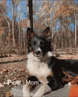 processed/1ee0f807-5d45-4fd5-88f3-1961974659c4/listing/e2299f27-d257-4b93-8a41-2cc331c89c9d/f2e882fa-6492-4893-bbbd-9d03e035f092