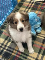 processed/1ee3957c-438d-4700-ac63-375b60ddbb4f/listing/3eebaba8-1b96-42b7-a5a7-2c29495d4369/06c5a146-6040-401d-acb1-babbbe694aaa