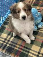 processed/1ee3957c-438d-4700-ac63-375b60ddbb4f/listing/3eebaba8-1b96-42b7-a5a7-2c29495d4369/41d5c59a-b405-4ee0-9cca-aca962292eac