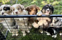 processed/1ee781db-6199-4008-885d-7cd6670b31bd/facility/fee53678-05bc-4953-bcdf-5efbca6e563b