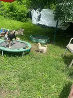 processed/1ee80d86-52ac-43f7-b730-b65b5dcd4246/facility/235e2165-e07e-4beb-ab3c-a0ee27353f1b