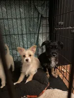 processed/1ee80d86-52ac-43f7-b730-b65b5dcd4246/facility/2b2445de-e3fa-498e-81ca-eb28850bbf7b