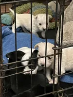 processed/1ee80d86-52ac-43f7-b730-b65b5dcd4246/facility/4ff5eb41-5bab-4454-98e8-8e34caca9b89