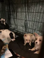 processed/1ee80d86-52ac-43f7-b730-b65b5dcd4246/facility/5bfb1b2c-fe50-4e52-9eba-ac70346a4b9d