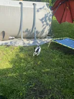 processed/1ee80d86-52ac-43f7-b730-b65b5dcd4246/facility/67e48e9a-3ed1-459d-92bc-73129b04a73b