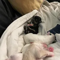 processed/1ee80d86-52ac-43f7-b730-b65b5dcd4246/facility/7d7a40d0-1f70-4d60-911d-8004d5f64143