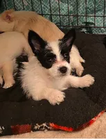 processed/1ee80d86-52ac-43f7-b730-b65b5dcd4246/facility/9261b9f4-a7f8-4602-a58c-416dce70bc25