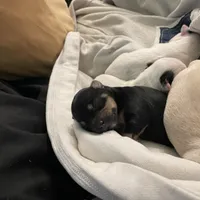 processed/1ee80d86-52ac-43f7-b730-b65b5dcd4246/facility/aeab132b-5f10-4fcb-848c-a1a8b4cf993a