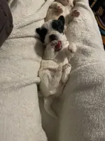 processed/1ee80d86-52ac-43f7-b730-b65b5dcd4246/facility/e293738e-a596-4a01-9c23-1a648122782d