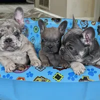 processed/1eec73ec-d324-4378-ae71-db8efa21c96c/facility/22b2432e-0606-44bb-9a01-a7bdbfb19476