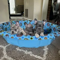 processed/1eec73ec-d324-4378-ae71-db8efa21c96c/facility/9c27461a-79fb-4c4a-8d55-97d512afa2c4