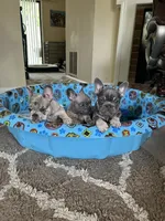 processed/1eec73ec-d324-4378-ae71-db8efa21c96c/facility/9c27461a-79fb-4c4a-8d55-97d512afa2c4