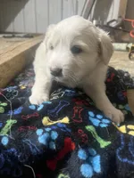 processed/1ef10aef-3037-4774-bc28-5b9e7ad7e6cb/listing/04de3303-97db-4897-8af8-3fe3a0e12bcc/5027ef24-5f90-437e-8d64-ee197dc03ea1