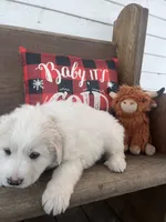 processed/1ef10aef-3037-4774-bc28-5b9e7ad7e6cb/listing/04de3303-97db-4897-8af8-3fe3a0e12bcc/664ab8ec-4775-4654-8b57-a247e019b794