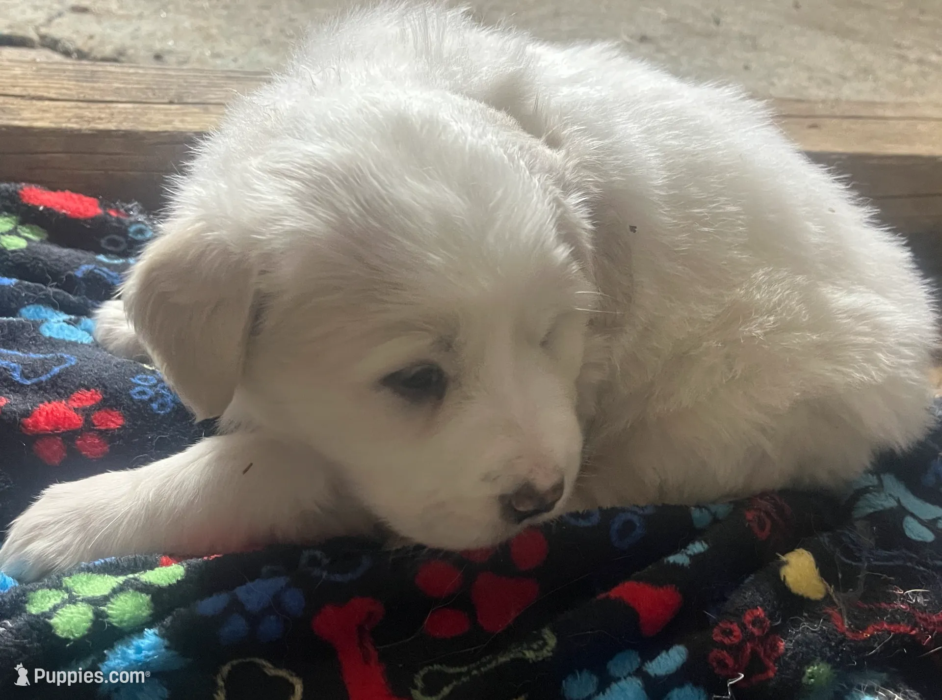 processed/1ef10aef-3037-4774-bc28-5b9e7ad7e6cb/listing/04de3303-97db-4897-8af8-3fe3a0e12bcc/75bce8d4-df26-47e3-97df-c9d15750cf03