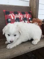 processed/1ef10aef-3037-4774-bc28-5b9e7ad7e6cb/listing/04de3303-97db-4897-8af8-3fe3a0e12bcc/9b1ae18b-7810-4d31-a6af-2fae8cbca01a