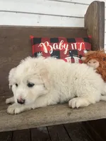 processed/1ef10aef-3037-4774-bc28-5b9e7ad7e6cb/listing/04de3303-97db-4897-8af8-3fe3a0e12bcc/b71a885c-9782-40b5-bb42-895b47132220