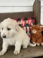 processed/1ef10aef-3037-4774-bc28-5b9e7ad7e6cb/listing/04de3303-97db-4897-8af8-3fe3a0e12bcc/e0c0ef67-d1e6-4ce5-b59b-4923ed2fe16b