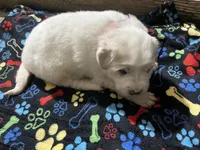 processed/1ef10aef-3037-4774-bc28-5b9e7ad7e6cb/listing/04de3303-97db-4897-8af8-3fe3a0e12bcc/e270fb5d-d91f-447a-a5a2-f4aadbae5feb