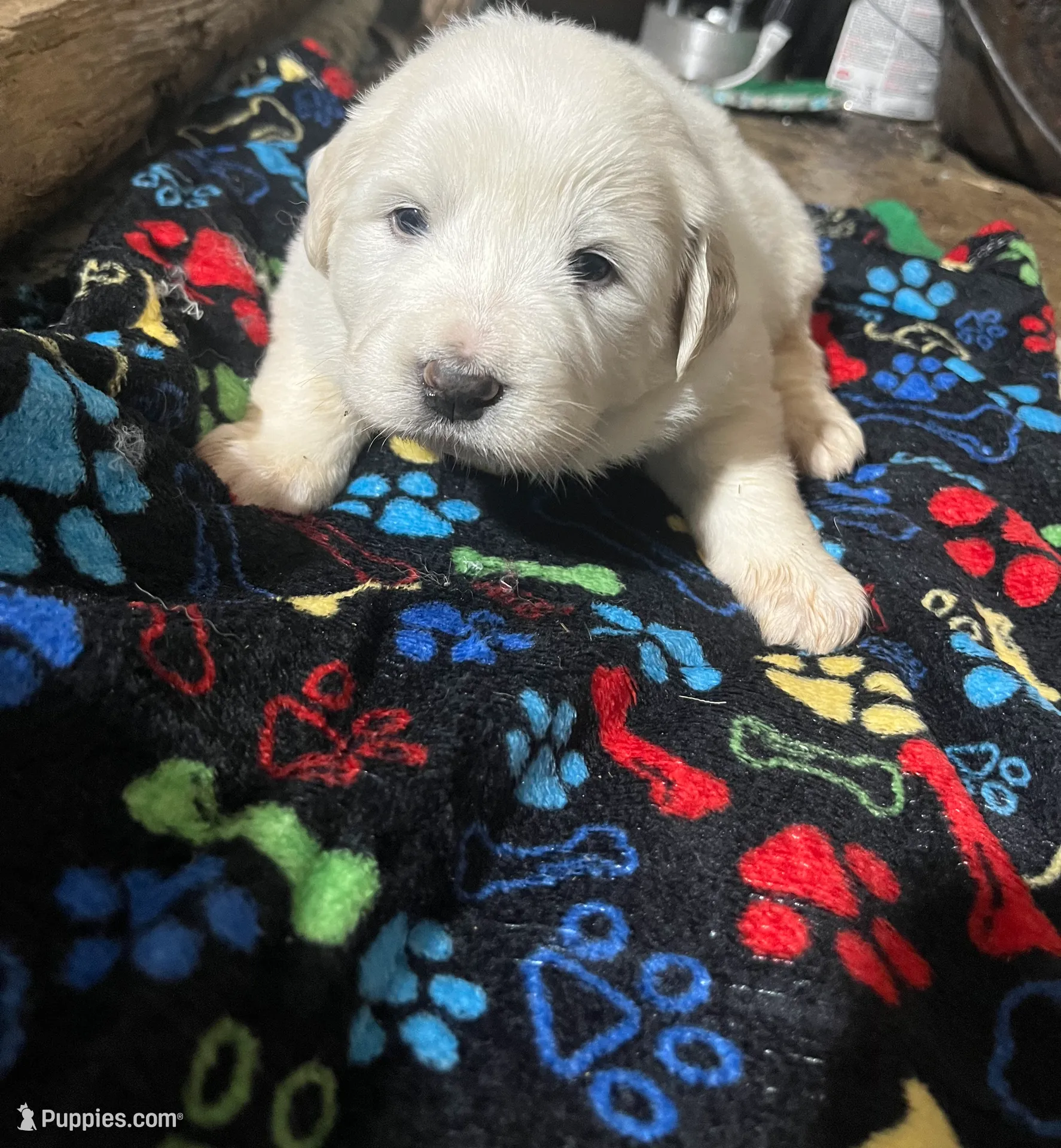 processed/1ef10aef-3037-4774-bc28-5b9e7ad7e6cb/listing/21ced8ab-465c-4374-aaab-9b18efc3ca92/33068fea-0d7e-45ef-a891-a7c4586b2675