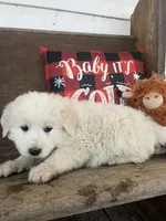 processed/1ef10aef-3037-4774-bc28-5b9e7ad7e6cb/listing/21ced8ab-465c-4374-aaab-9b18efc3ca92/49dd503c-5719-4ab7-b113-3c6b618b6b5e