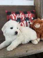 processed/1ef10aef-3037-4774-bc28-5b9e7ad7e6cb/listing/21ced8ab-465c-4374-aaab-9b18efc3ca92/9804b12e-22bb-4b1e-8027-bdcf289ef57e