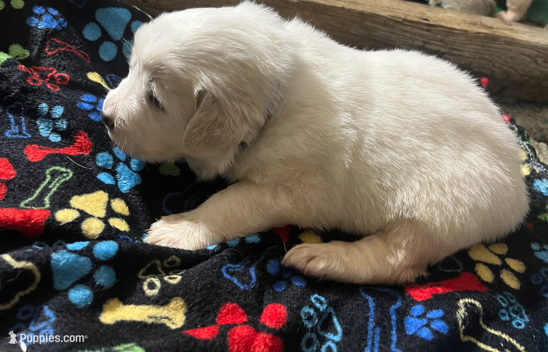 processed/1ef10aef-3037-4774-bc28-5b9e7ad7e6cb/listing/21ced8ab-465c-4374-aaab-9b18efc3ca92/b144d2e1-b9b4-49e3-ad77-30597e9a445c