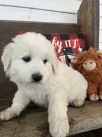 processed/1ef10aef-3037-4774-bc28-5b9e7ad7e6cb/listing/21ced8ab-465c-4374-aaab-9b18efc3ca92/d84b7310-ac34-4311-9b6a-e1850c474d36